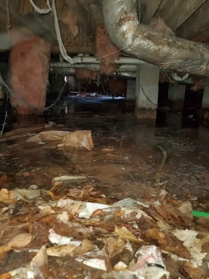 Crawl space flood assessment for Commercial Water Damage Restoration in Ashton-Sandy Spring