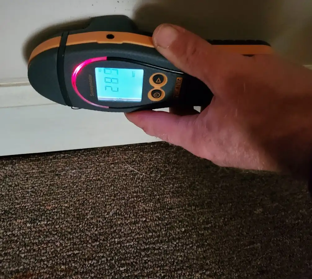 Moisture detection at baseboard during Mold Inspection & Testing in Ashton-Sandy Spring